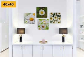 Set obrazov čarovné kvety - 4x 60x60