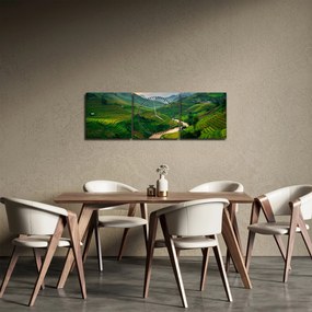 Obraz - Ryžové terasy II. (s hodinami) (90x30 cm)