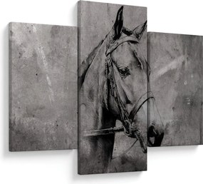 Obraz - Portrét koňa (90x60 cm)