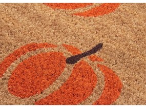 Rohožka 45x75 cm Mix Mats - Hanse Home