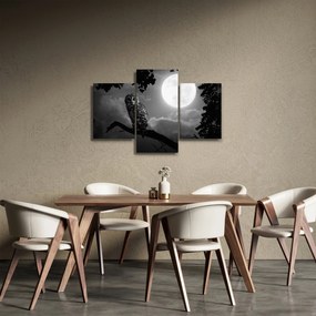 Obraz - Nočná sova, čiernobiela (90x60 cm)