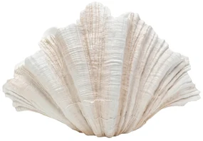 Concha váza biela 57 cm