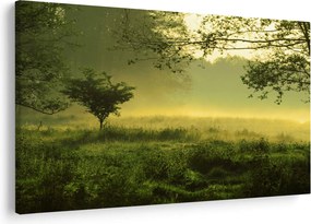 Obraz - Prebúdzajúci sa les (90x60 cm)
