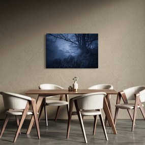 Obraz temného lesa (90x60 cm)