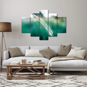 Obraz steblá trávy (150x105 cm)