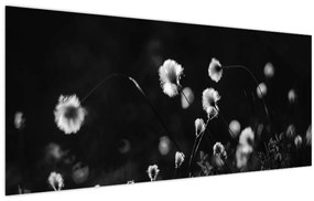 Obraz - Lúka s cottongrass N⁰1 (120x50 cm)