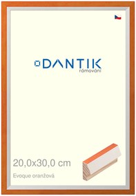 DANTIK rám na obraz 20x30 | EVOQUE oranžová (Sklo Čiré)