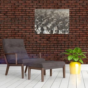 Obraz - Stádo pakoňov (70x50 cm)