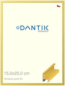 DANTIK rám na obraz 15x20 | ALU Dýha barevná žlutá citrus (Sklo Čiré)