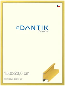 DANTIK rám na obraz 15x20 | ALU Dýha barevná žlutá citrus (Sklo Čiré)