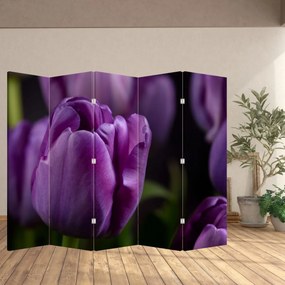Paraván - Kvet tulipánov (210x170 cm)