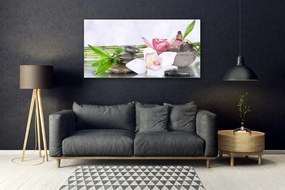 Obraz plexi Orchidea kamene bambus 120x60 cm