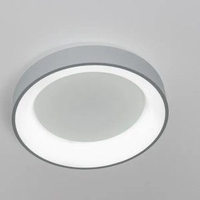 Brilagi - LED Stmievateľné stropné svietidlo LED/40W/230V 3000-6500K šedá + DO
