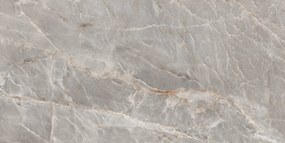 Dlažba Majestic Grey Silky 60x120