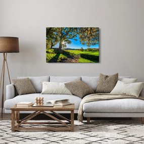 Obraz - Výhľad na pole (90x60 cm)