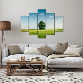 Obraz stromu na lúke (150x105 cm)