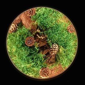 Li-Go 23654 - LED stmievateľná stolová dekorácia LED/12W/230V 20x22 cm mach