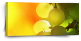 Sablio Obraz Hroznové víno - 110x50 cm