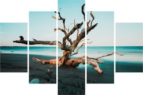 Obraz - Vyplavenie na pláži (150x105 cm)
