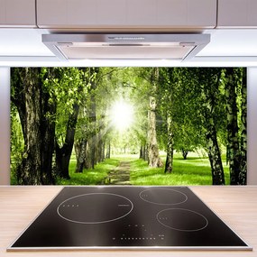 Sklenený obklad Do kuchyne Les slnko chodník príroda 125x50 cm