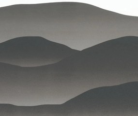 Okenná fólia f3340049 0.450x1.5m