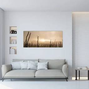Obraz - Holé stromy (120x50 cm)