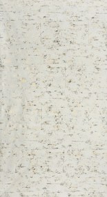 ZATEMŇOVACÍ ZÁVES NA KRÚŽKOCH TAMI 140X250 CM KRÉMOVÁ