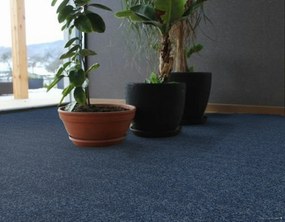 Beaulieu International Group, Koberec metráž Primavera 539, na mieru, šíře 4m, modrá, resine, chodba / predsieň