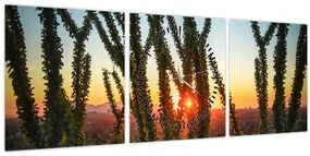 Obraz - Rastliny (s hodinami) (90x30 cm)