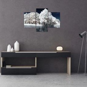 Obraz - Snehobiele stromy (90x60 cm)