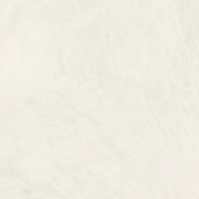 Dlažba Borgia Cream 60x60 R