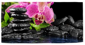 Sablio Uterák Orchidea na kameňoch - 50x100 cm