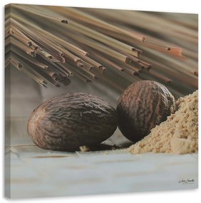 Gario Obraz na plátne Dva hnedé orechy Rozmery: 30 x 30 cm