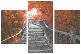 Obraz - Schody v prírode, oranžová (90x60 cm)