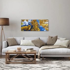 Obraz - Aspen (120x50 cm)