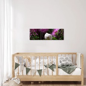 Obraz - Slimáková ulita (s hodinami) (90x30 cm)