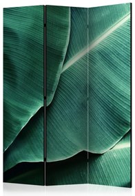 Artgeist Paraván - Banana Leaf [Room Dividers]