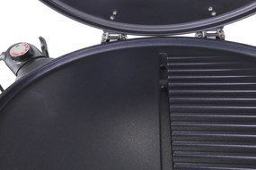 Gril Guzzanti GZ 345