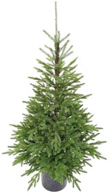 Umelý vianočný stromček v kvetináči 3D Smrek Karpatský 150cm