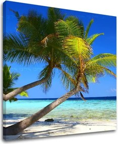 Obraz na stenu PLÁŽ