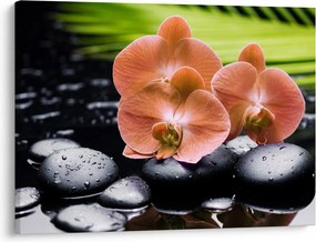 Obraz - Oranžová orchidea s palmovými listami (70x50 cm)