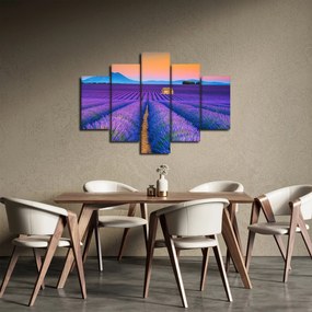 Obraz - Levanduľové pole (150x105 cm)