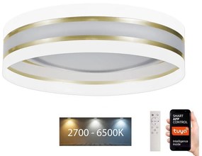 Belis LED Stmievateľné stropné svietidlo SMART CORAL LED/24W/230V Wi-Fi Tuya biela + DO BE0875
