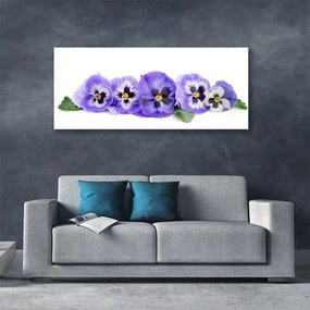 Obraz plexi Plátky kvet sirôtky 125x50 cm