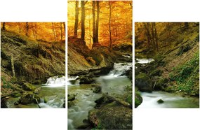 Obraz - Les (90x60 cm)