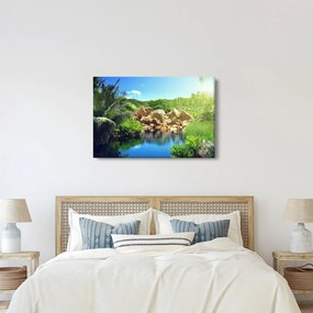 Obraz jazera v Seychelskej džungli (90x60 cm)