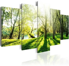 Obraz - Green Glade Veľkosť: 100x50, Verzia: Premium Print