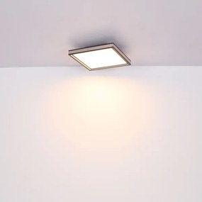 Globo 41596D2 - LED Stmievateľné stropné svietidlo LED/24W/230V 2700-6500K+DO