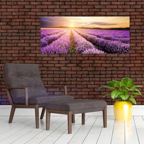 Obraz - Východ slnka v levanduľovom poli (120x50 cm)