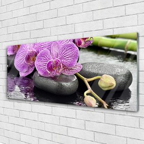 Obraz plexi Kamene zen orchidea kúpele 125x50 cm